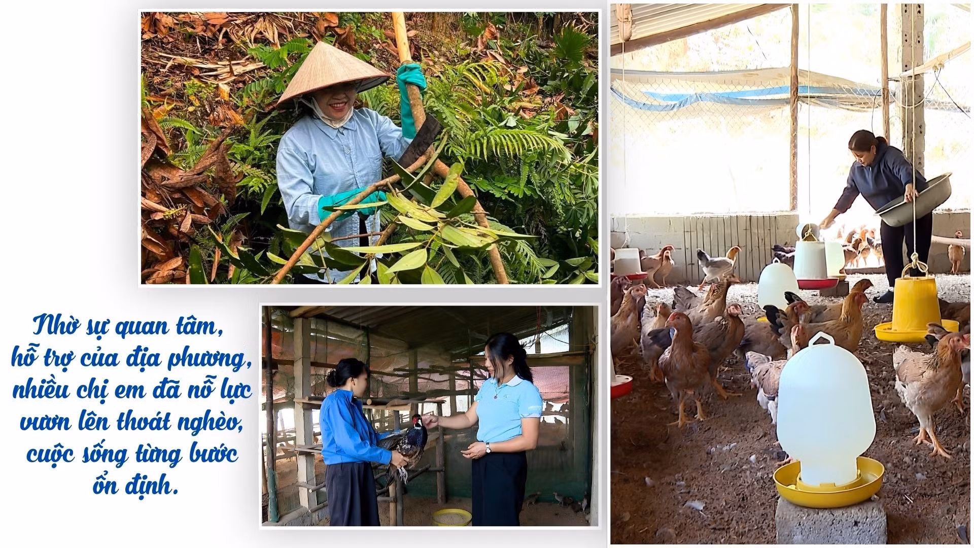 ho-tro-phu-nu-vuon-len-phat-trien-kinh-te-giam-ngheo-ben-vung-duoc-hoi-phu-nu-xa-khanh-hoa-xac-dinh-la-nhiem-vu-trong-tam-1.jpg