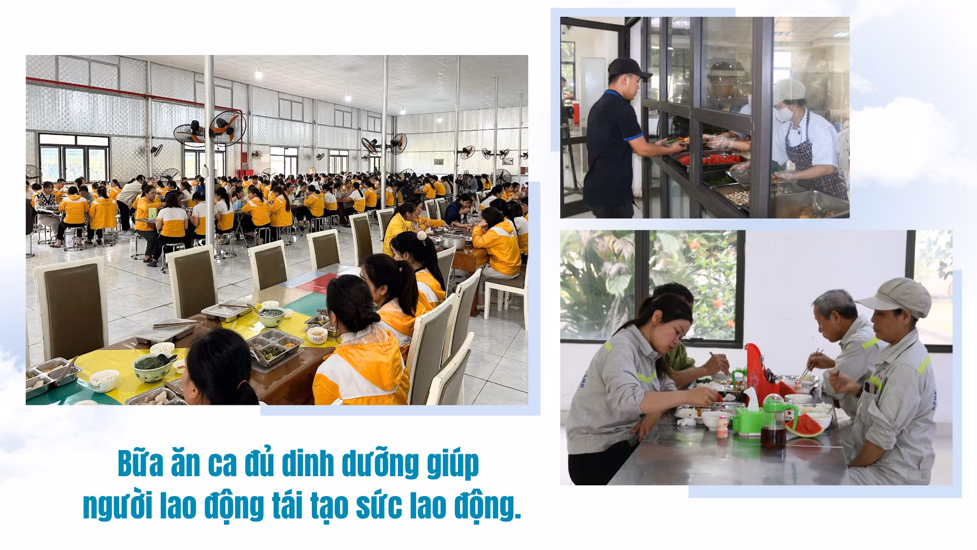 cham-lo-doi-song-vat-chat.png
