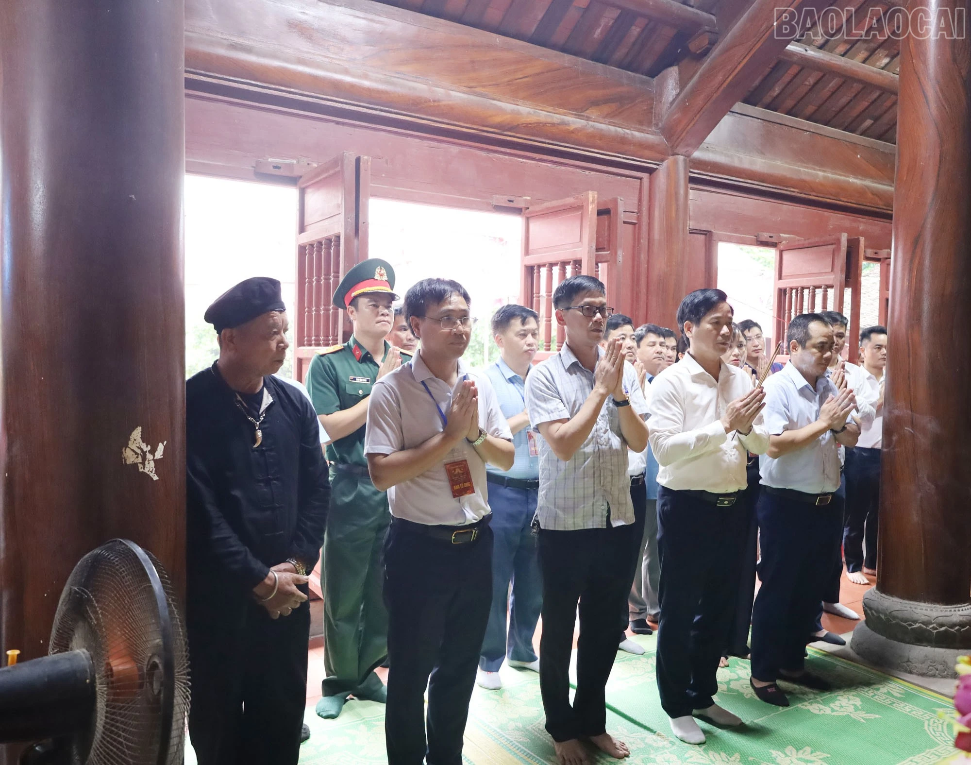 baolaocai-tr_4.jpg