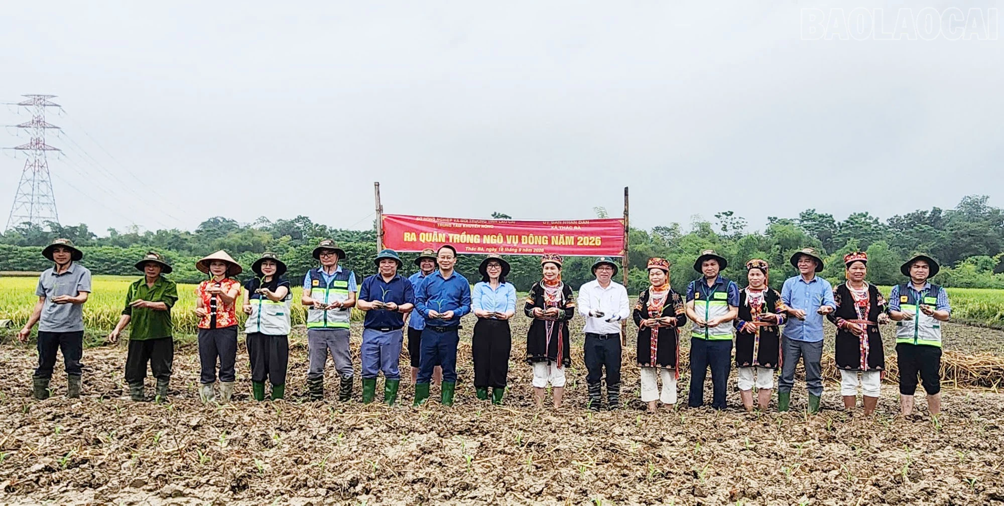 baolaocai-tr_4-8859.jpg