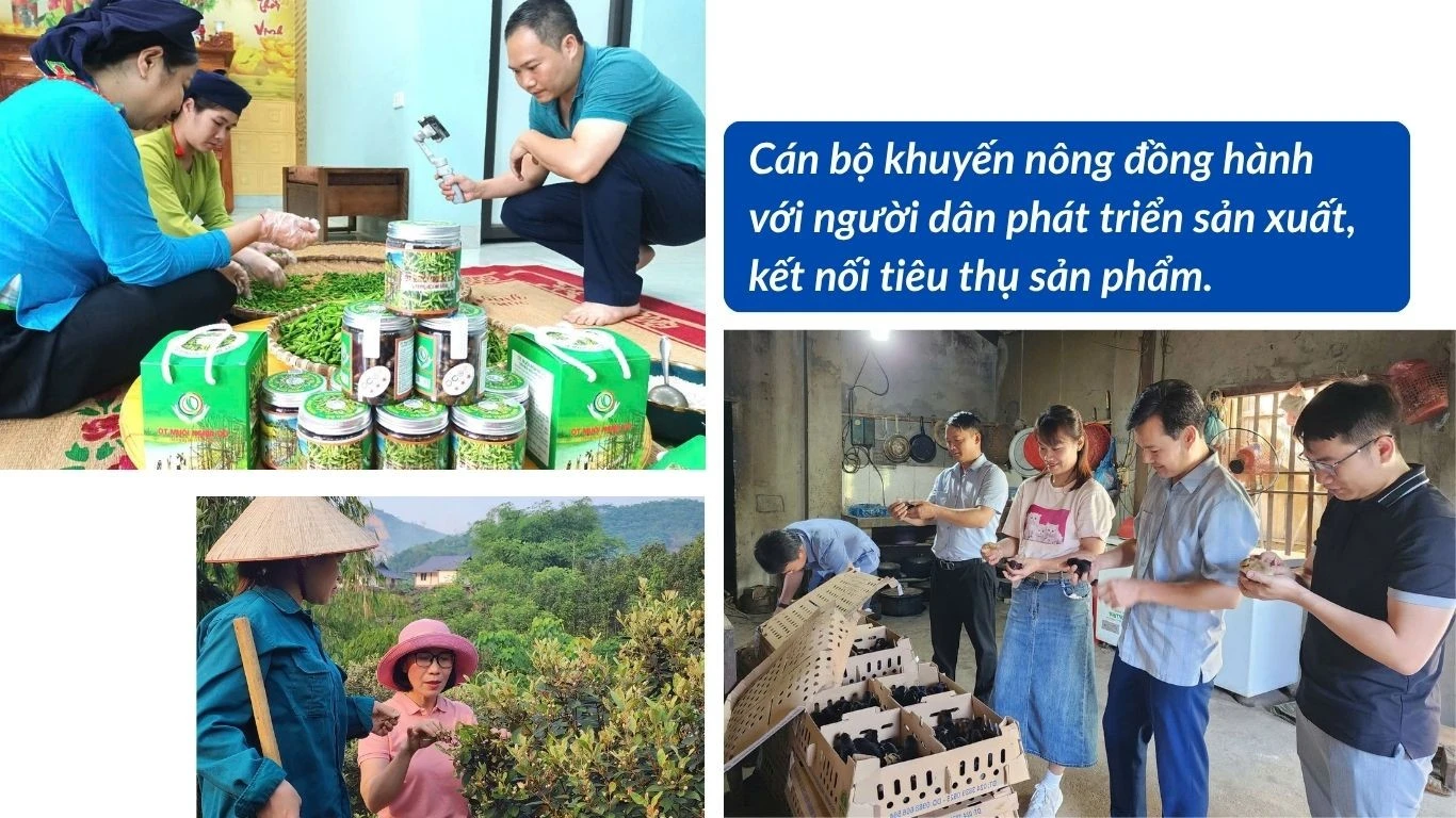 nang-cao-vai-tro-cua-kiem-lam-dia-ban-trong-bao-ve-va-phat-trien-rung-5.jpg