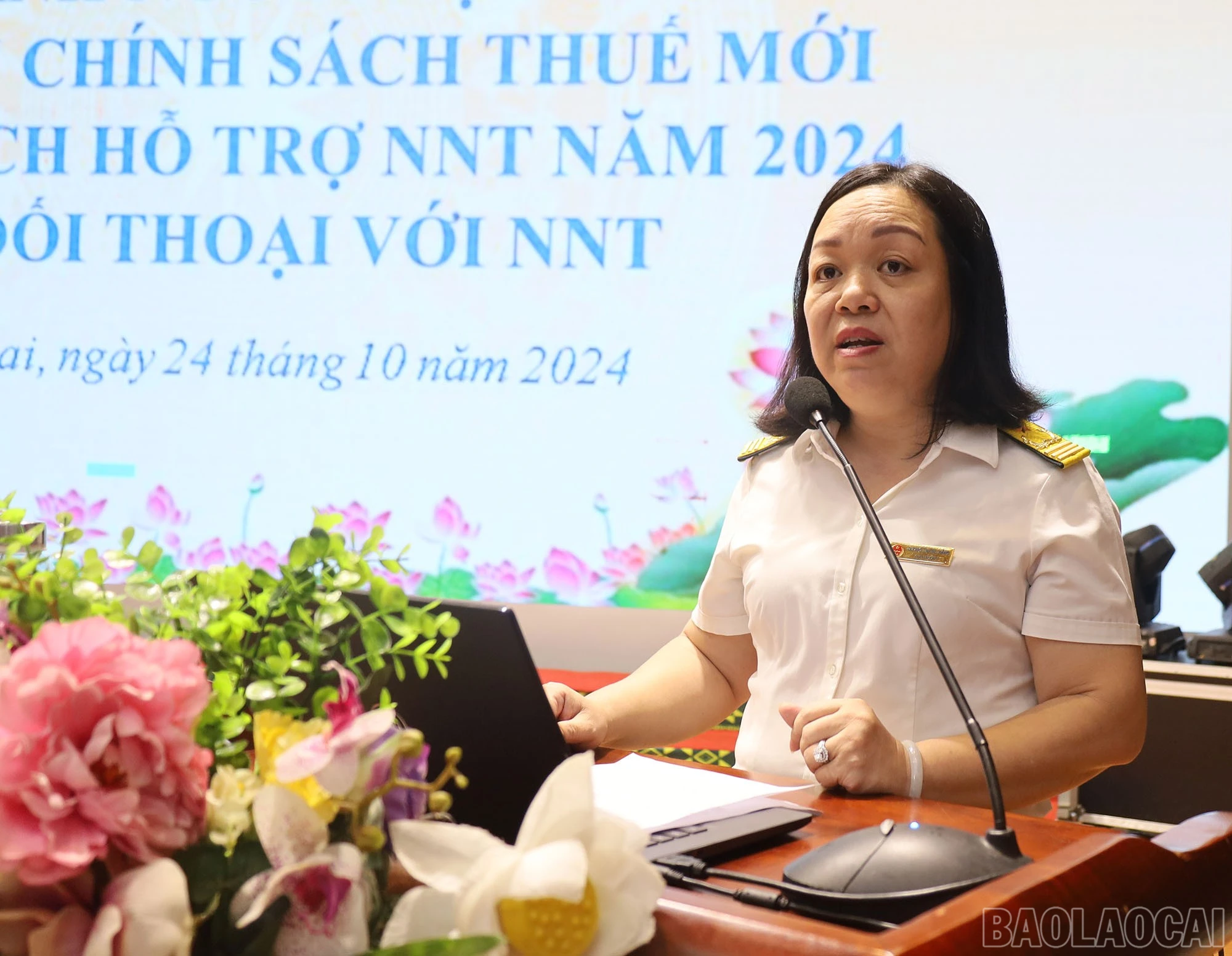 hn3-8169-3159.jpg