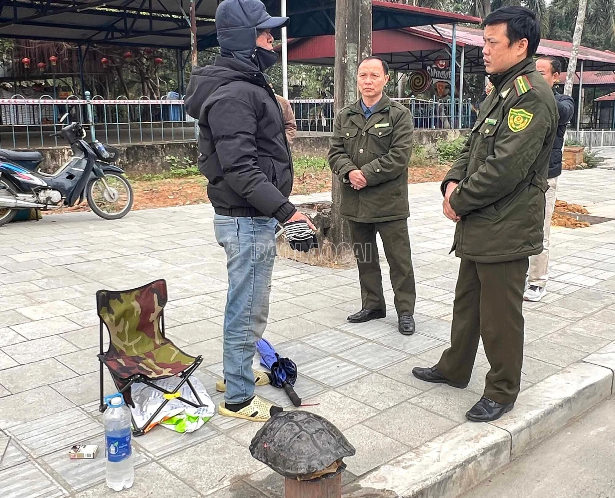 baolaocai-c_6.jpg