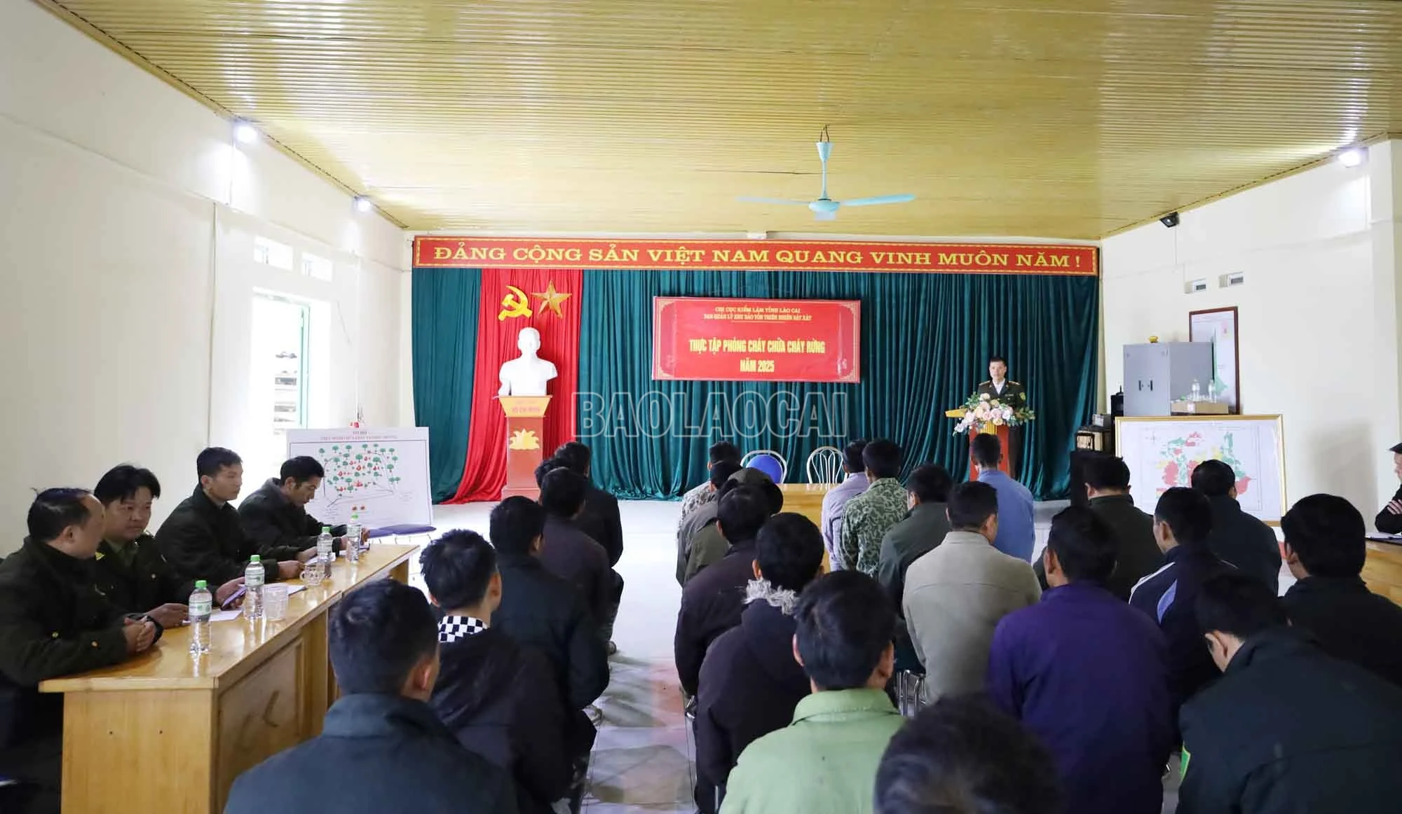 baolaocai-c_2.jpg