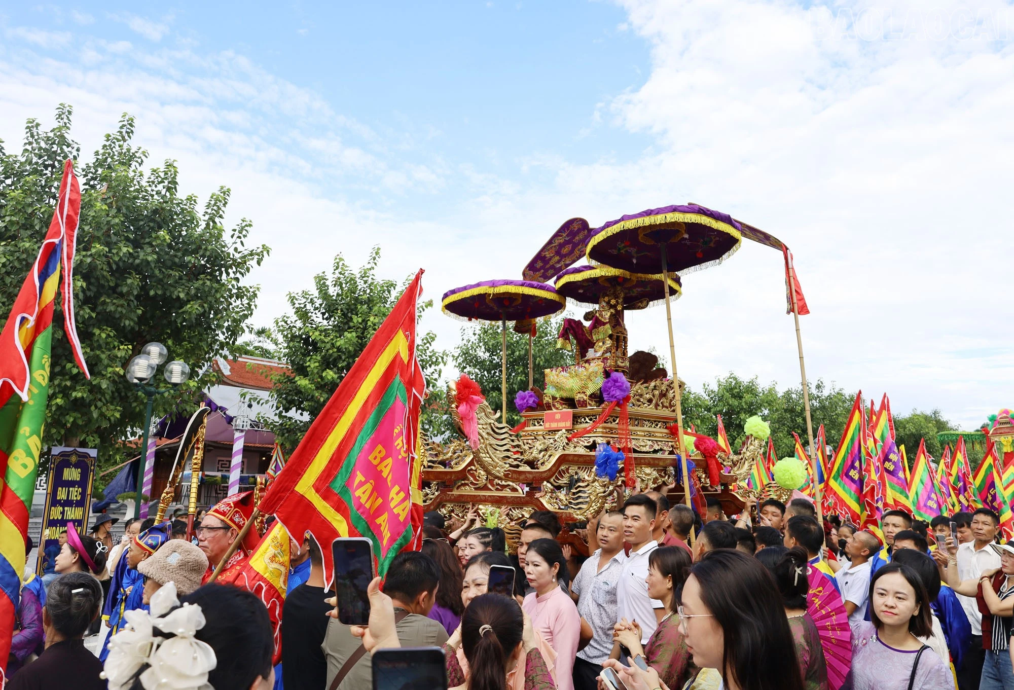 baolaocai-tr_10.jpg