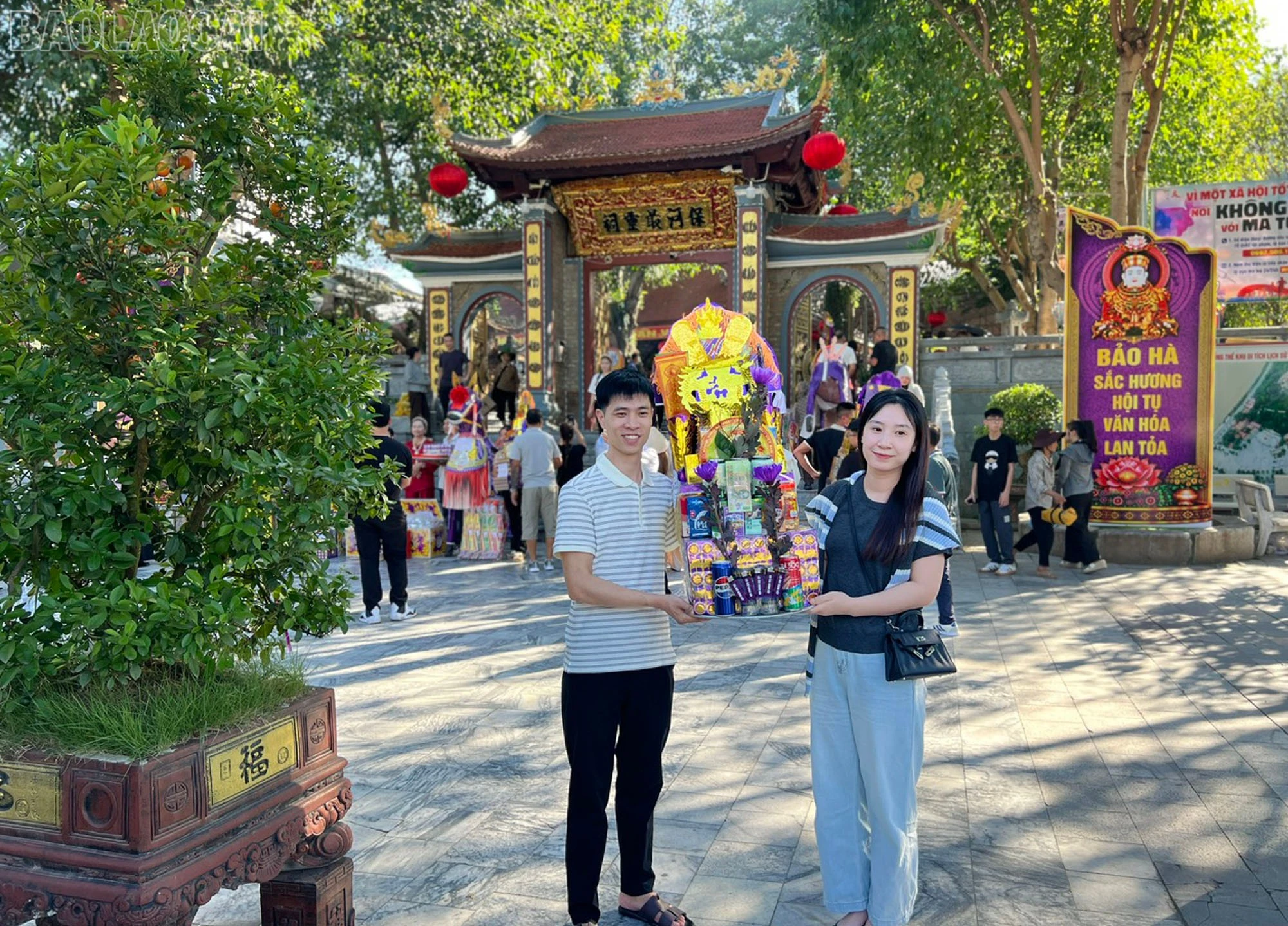 baolaocai-tl_4.jpg