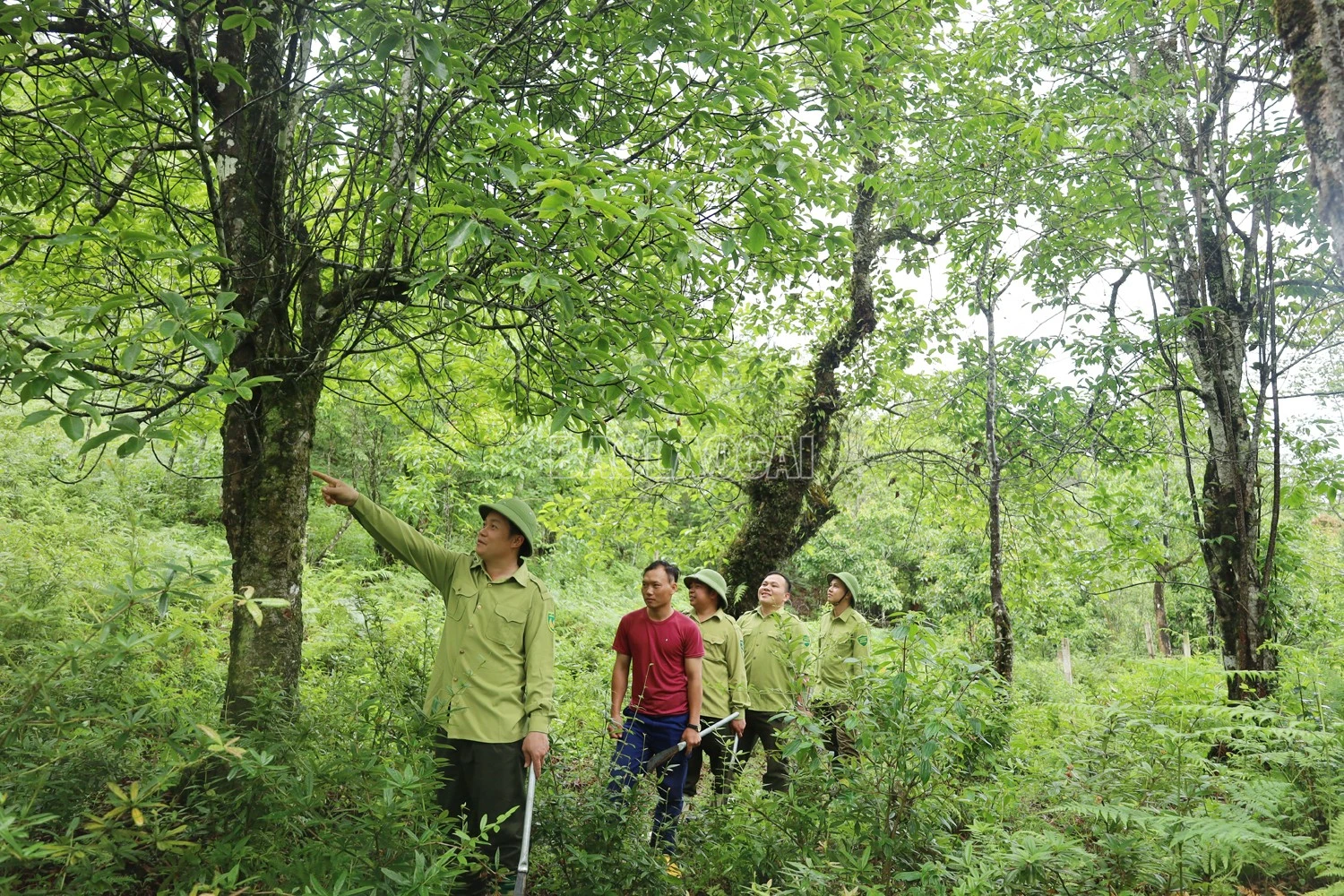 baolaocai-c_can-bo-khu-bttn-bat-xat-phoi-hop-voi-nguoi-dan-dia-phuong-tuan-tra-rung.jpg