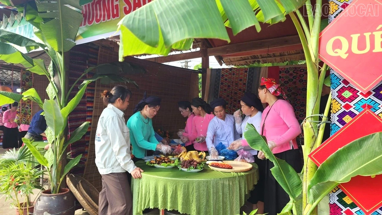 baolaocai-tr_19.jpg