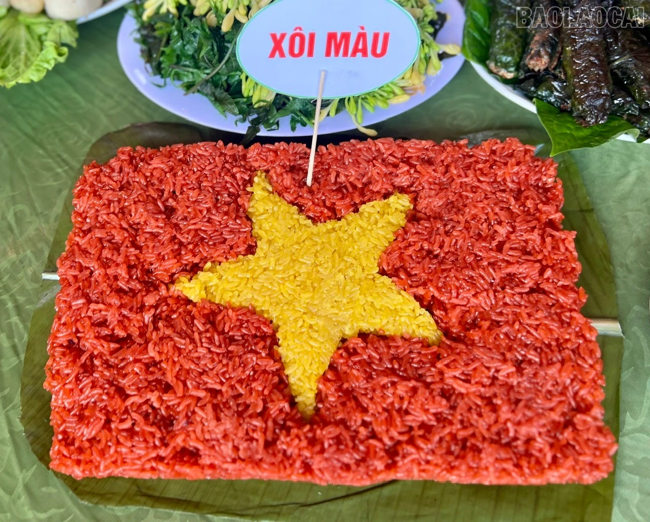 baolaocai-tr_3.jpg