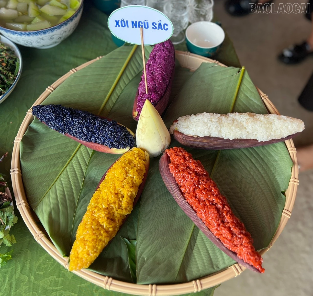 baolaocai-tr_4.jpg