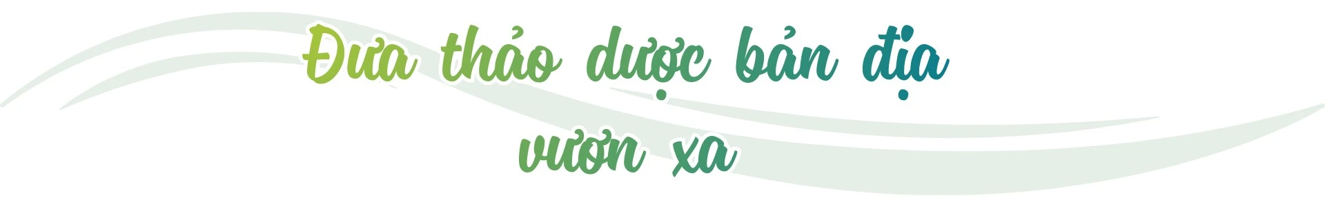 dua-huong-tra-thao-duoc-chinh-phuc-thi-truong-the-gioi.png