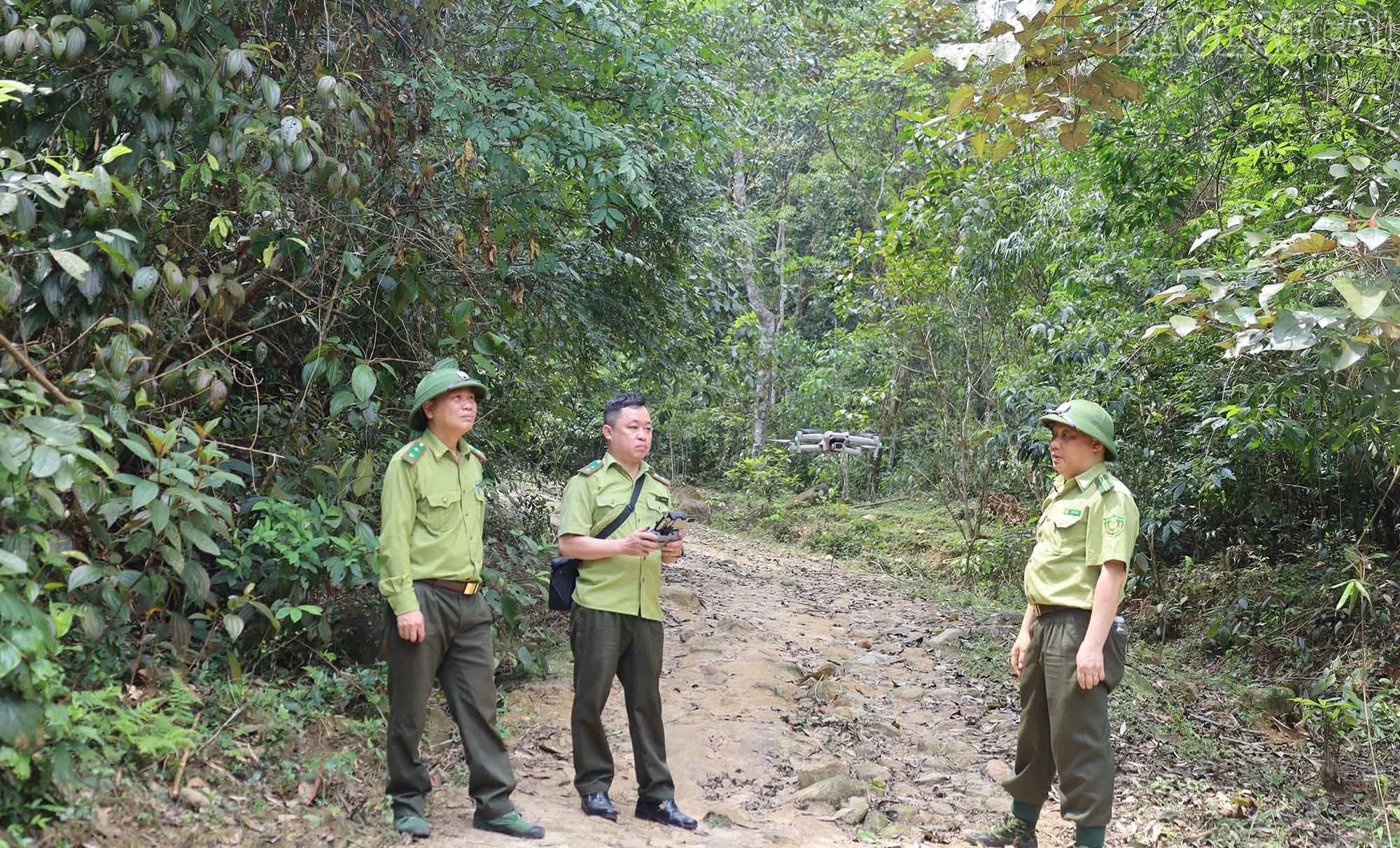 baolaocai-tr_4.jpg