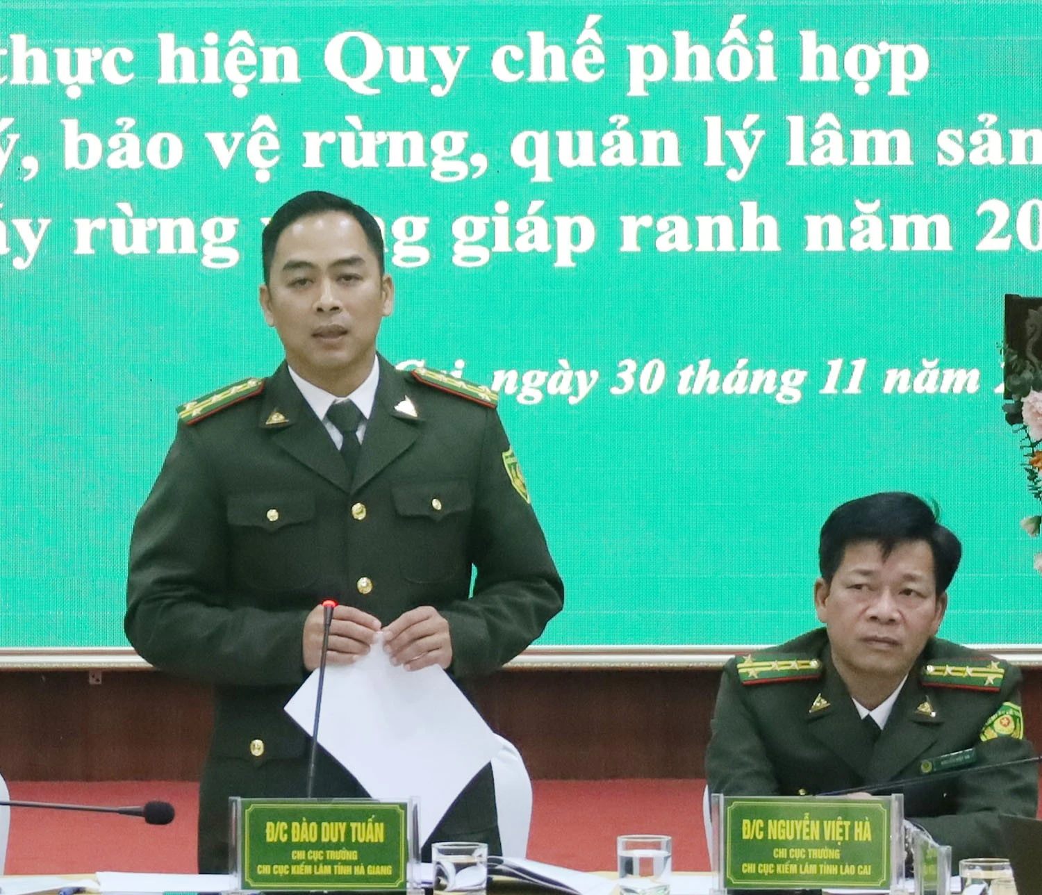 a1.jpg