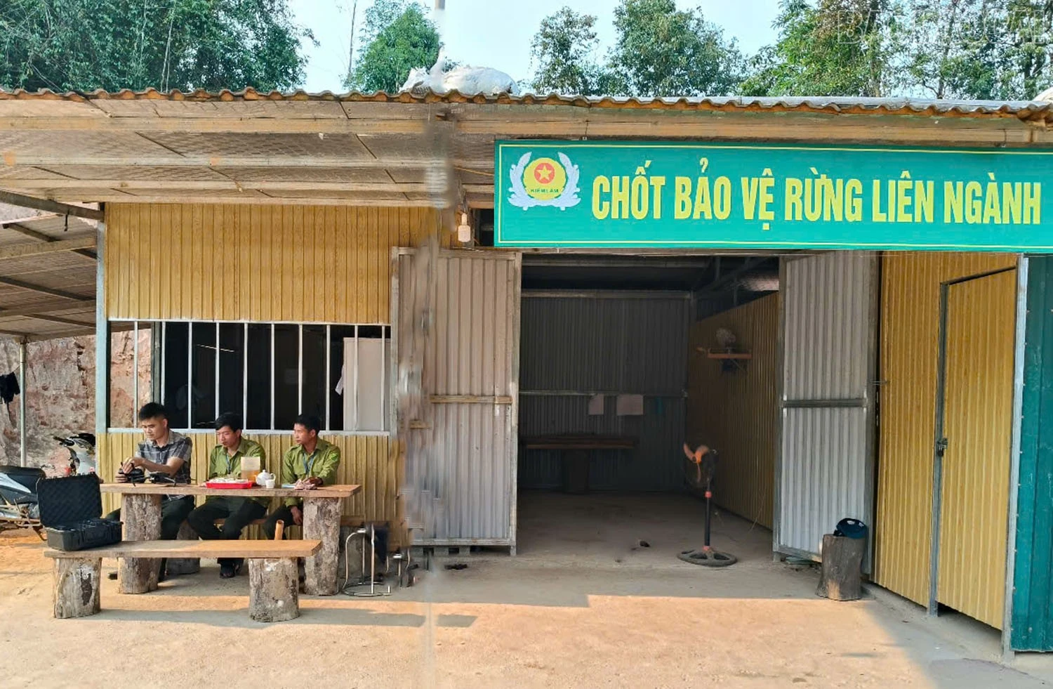 baolaocai-tr_1.jpg