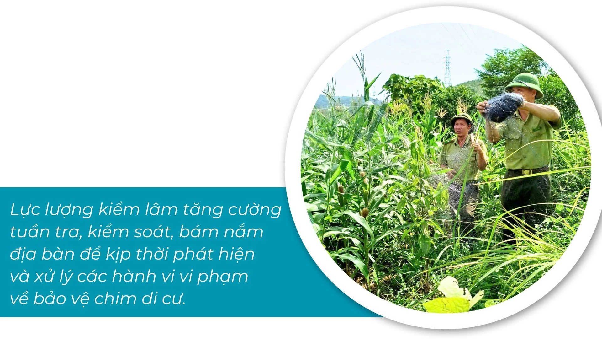bao-ton-giong-thuy-san-quy-hiem.jpg