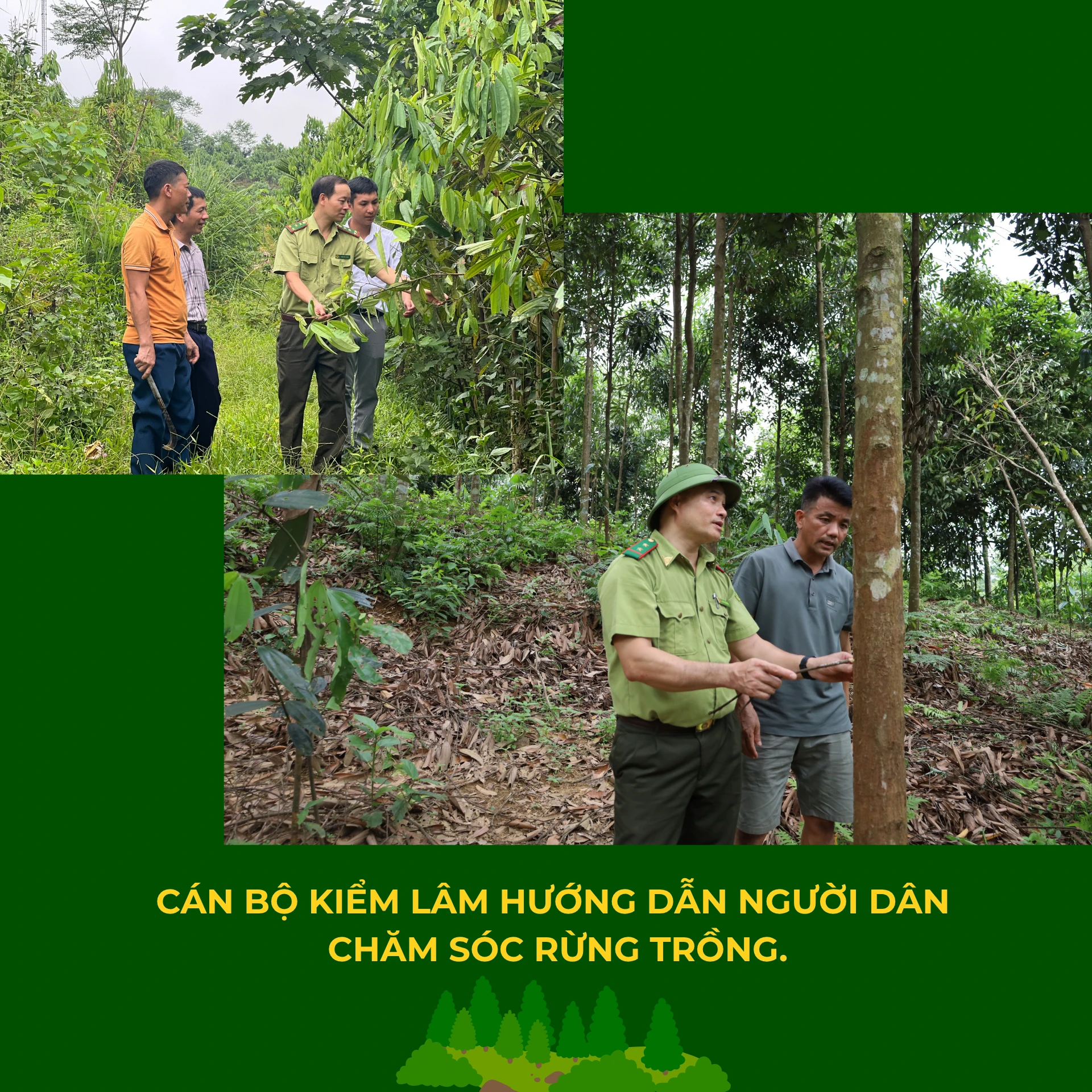 tam-ho-chieu-dua-go-lao-cai-ra-the-gioi.png