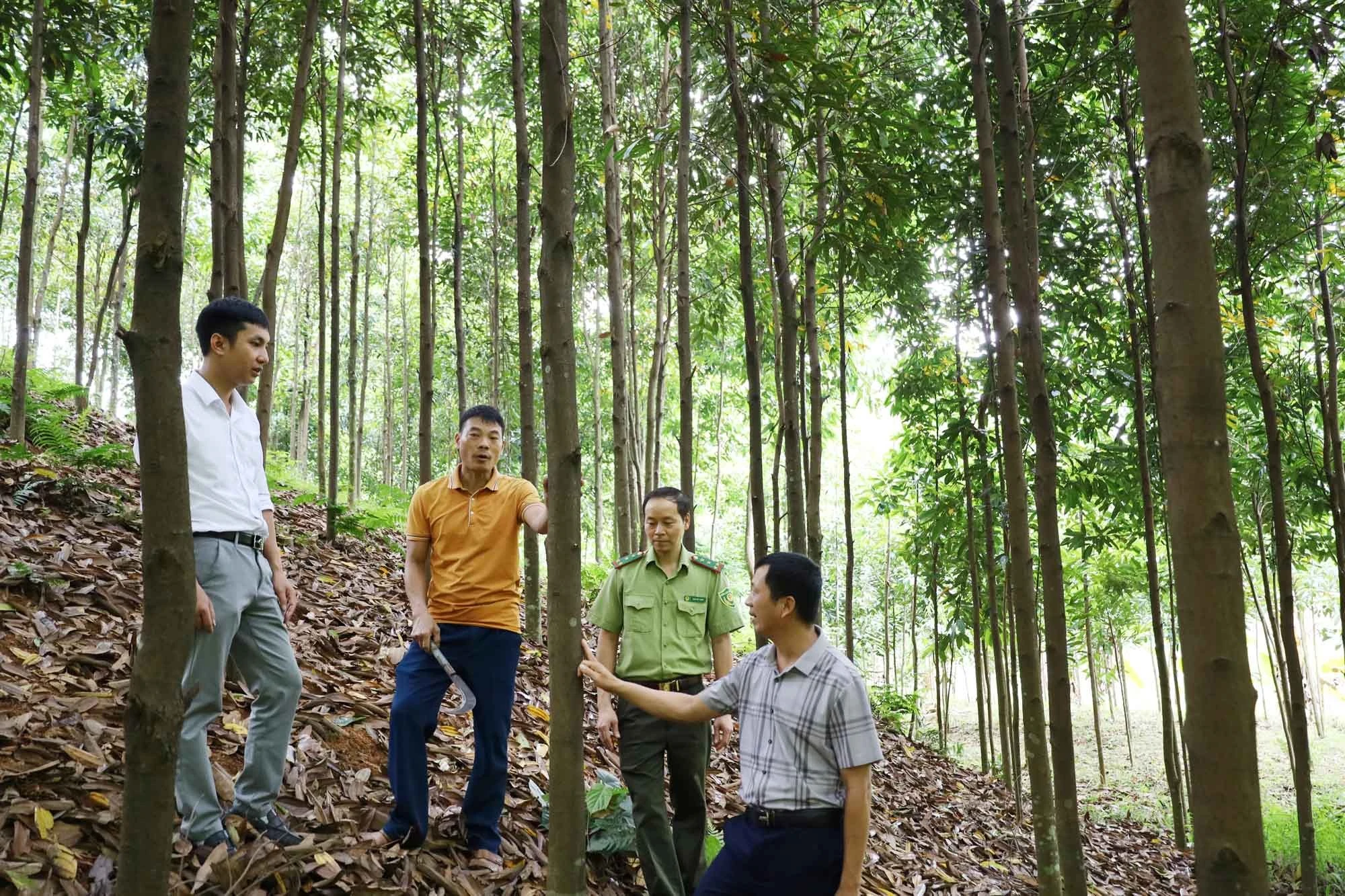 xa-vo-lao-co-gan-3000-que-cho-nguon-thu-hang-ty-dong-moi-nam.jpg
