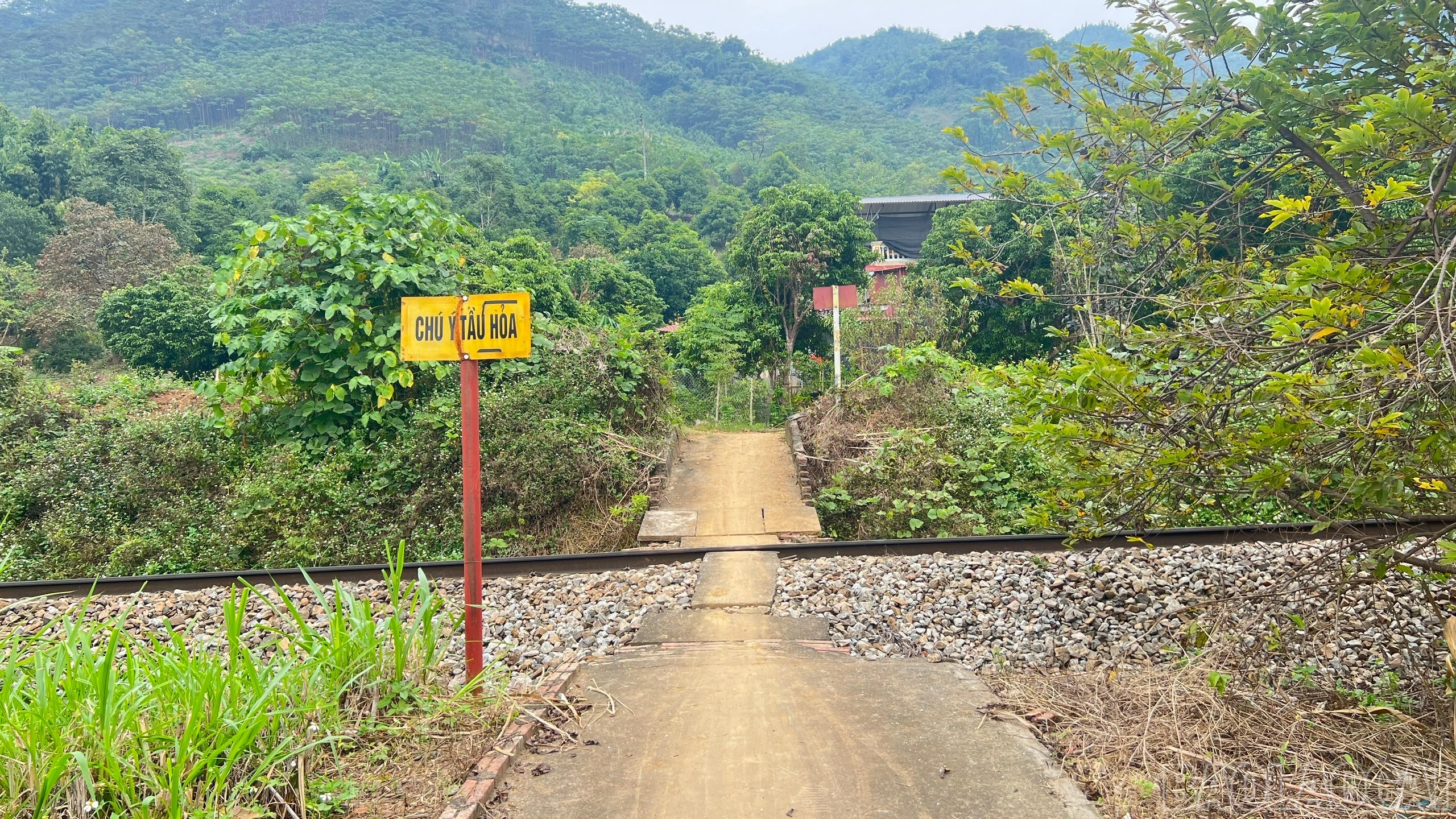 baolaocai-br_z7356906827585-89a3cdfa0384086475a57a90d932d20c.jpg