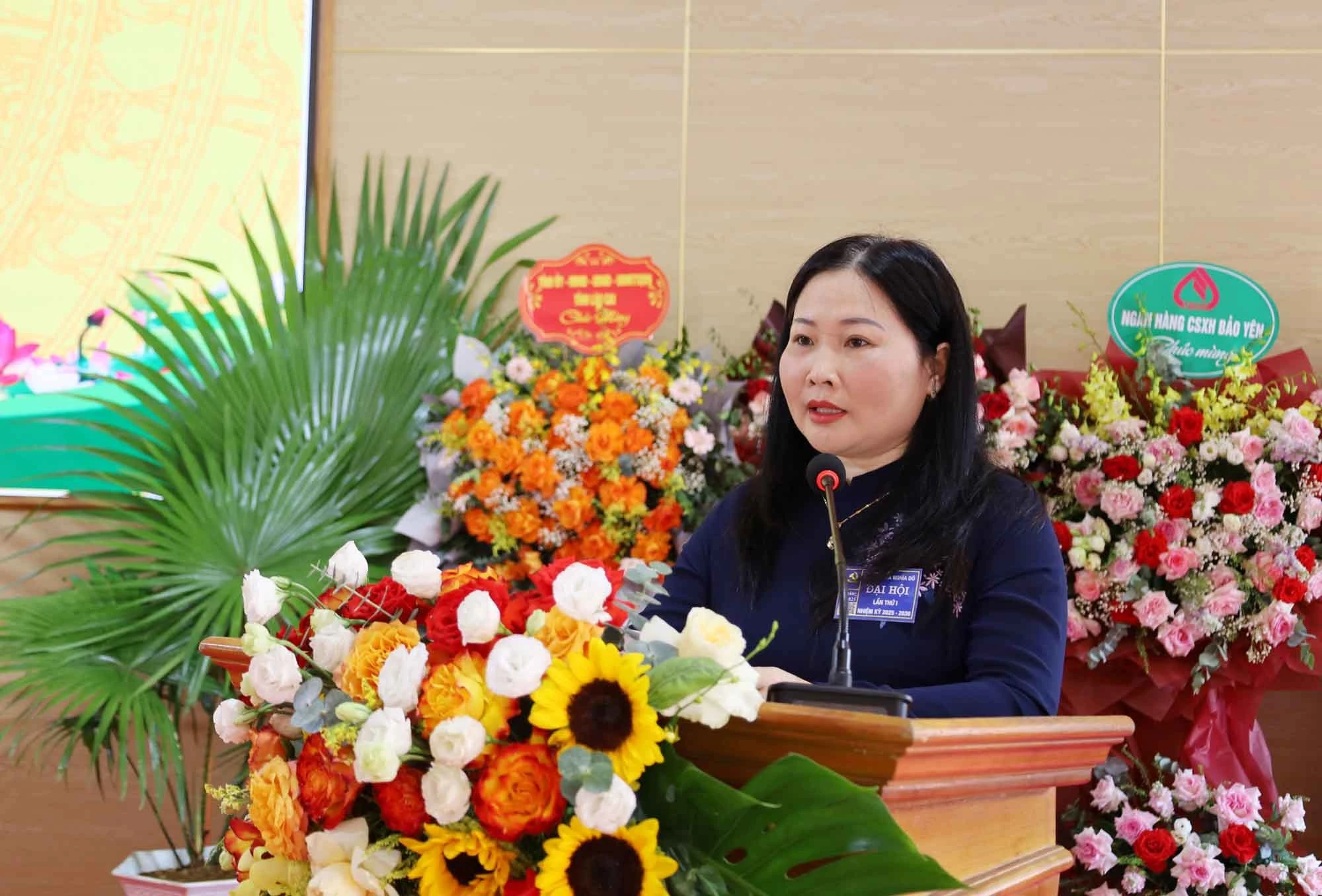 dhpct.jpg
