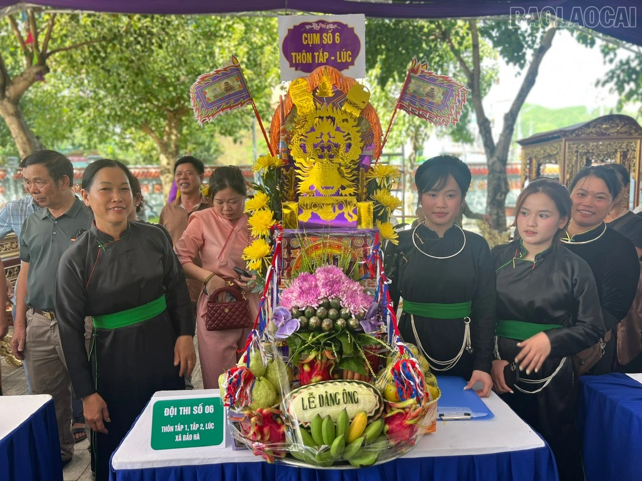 baolaocai-tr_8.jpg