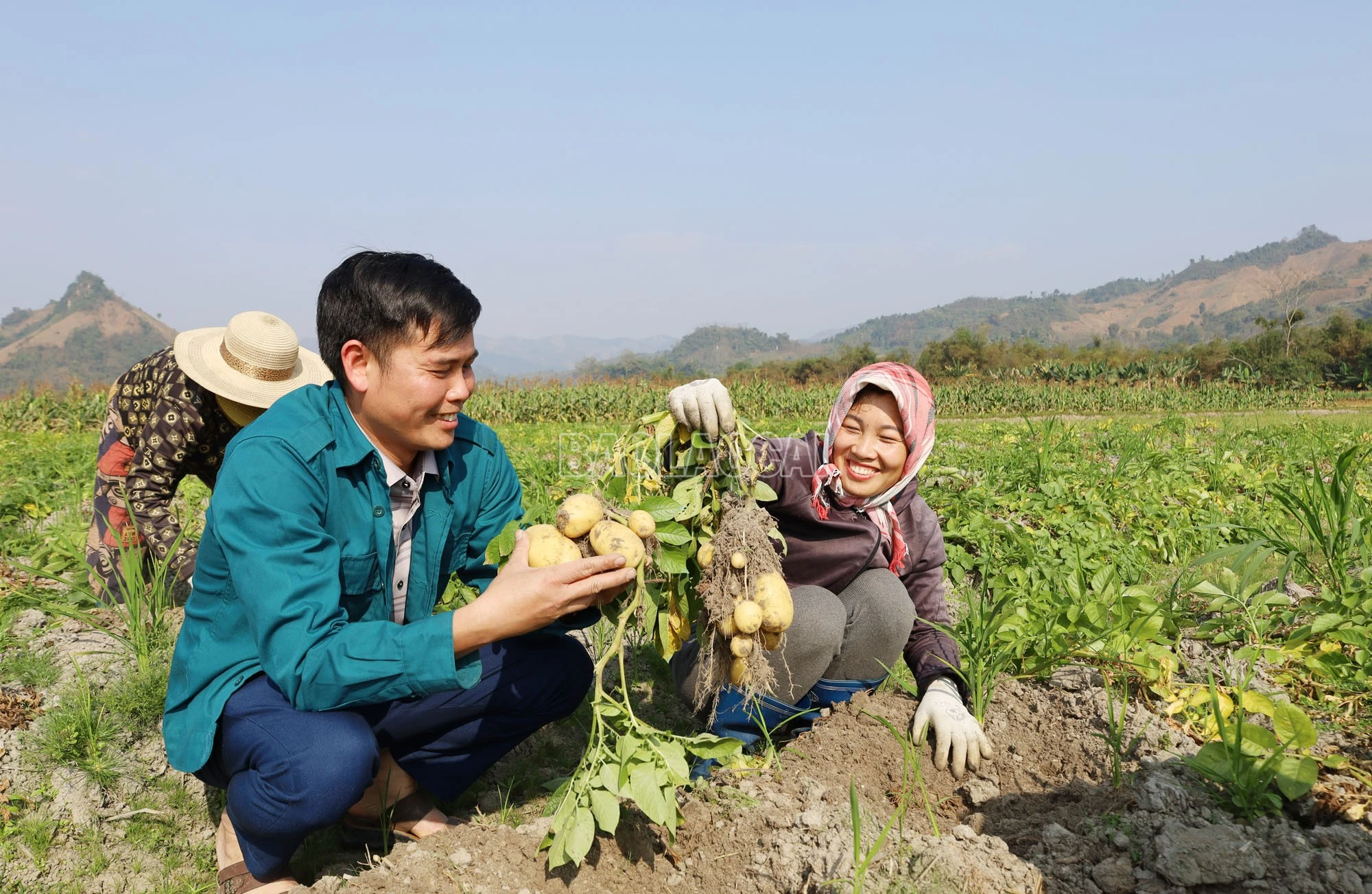 baolaocai-c_2-7044.jpg