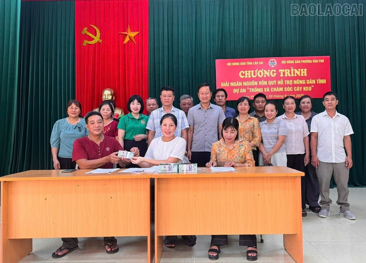 baolaocai-tr_1.jpg