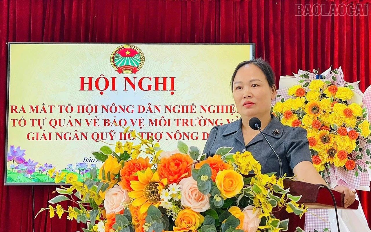 baolaocai-tr_5.jpg