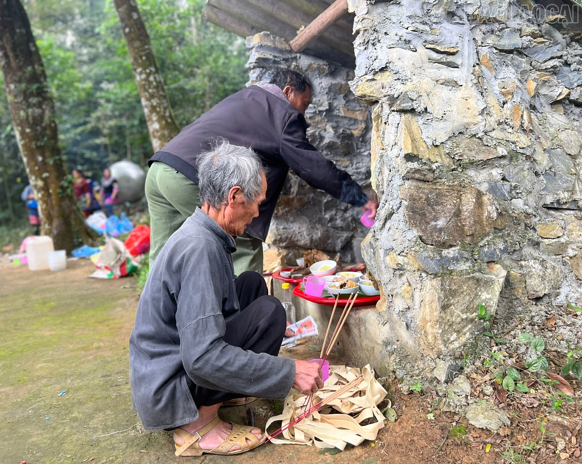 baolaocai-tr_4.jpg