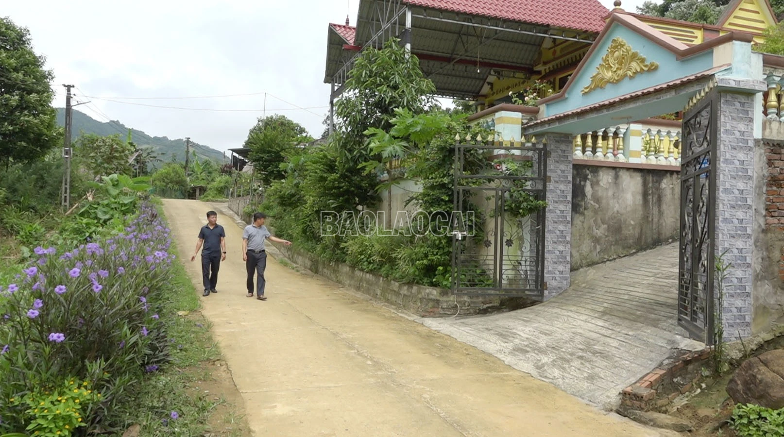 baolaocai-c_thuong-ha-1.jpg