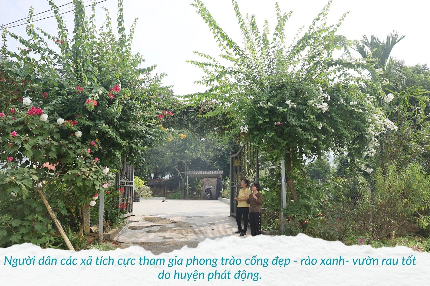 hieu-qua-tu-mo-hinh-nuoi-lon-ban-dia-an-toan-sinh-hoc-1.jpg