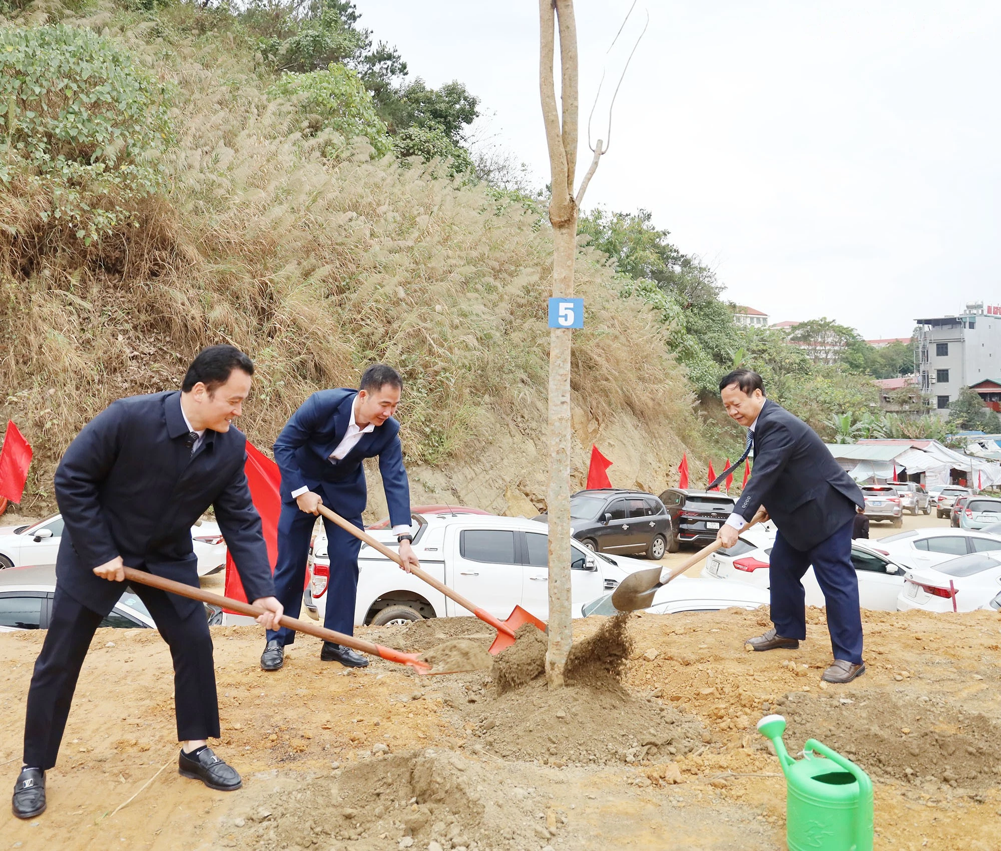 baolaocai-tr_12.jpg
