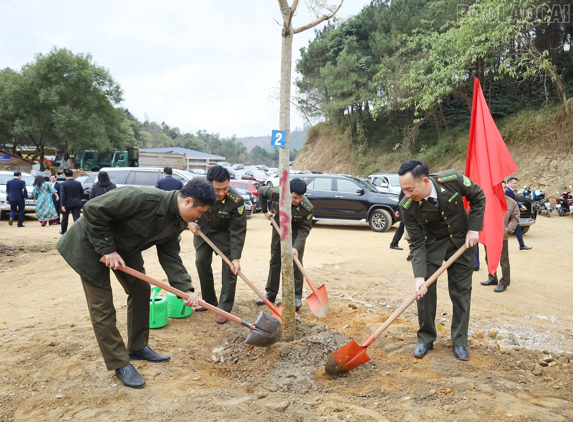 baolaocai-tr_8.jpg