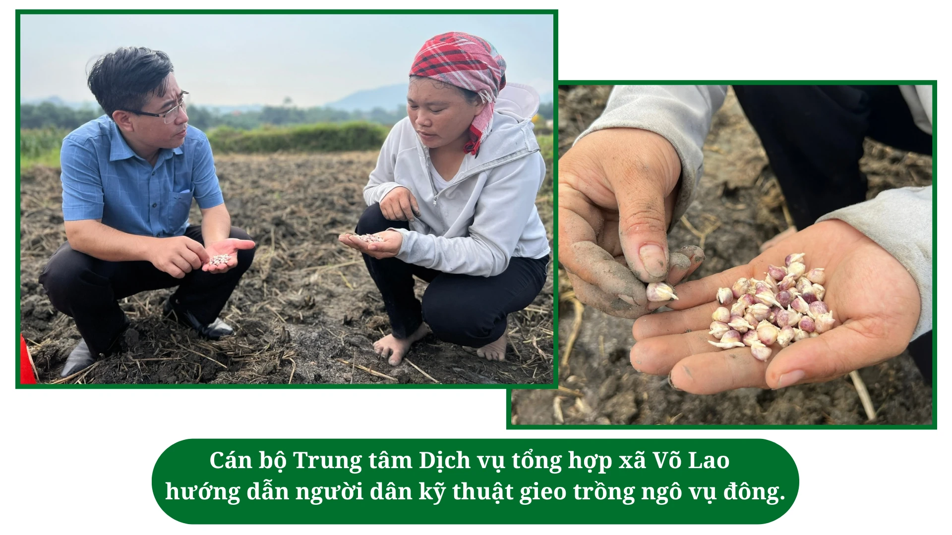 buoc-chuyen-trong-thuc-hien-chinh-sach-dan-so.png