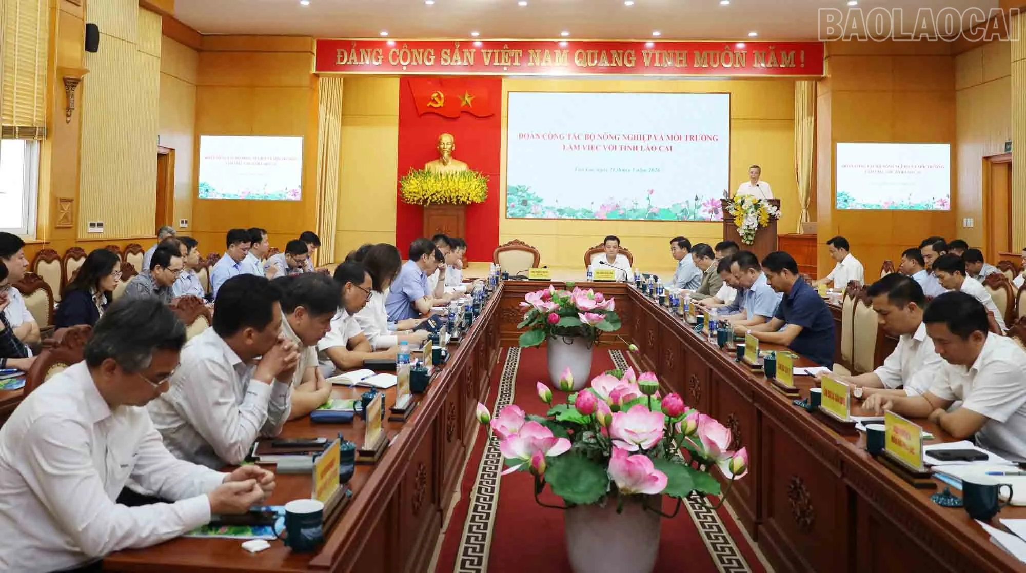baolaocai-tr_a3.jpg