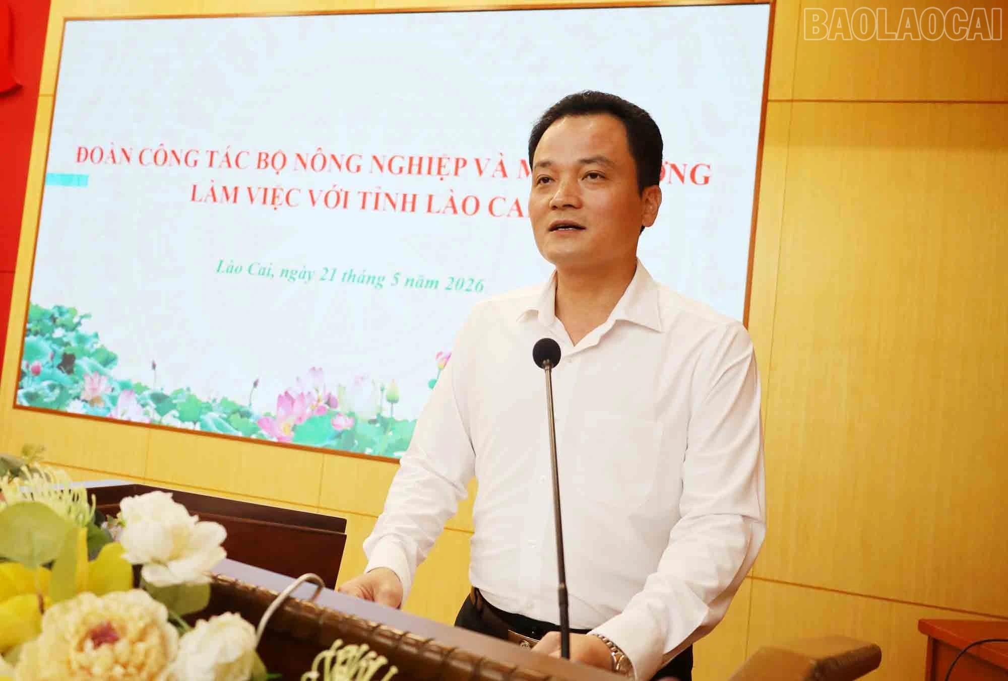 baolaocai-tr_a-h.jpg