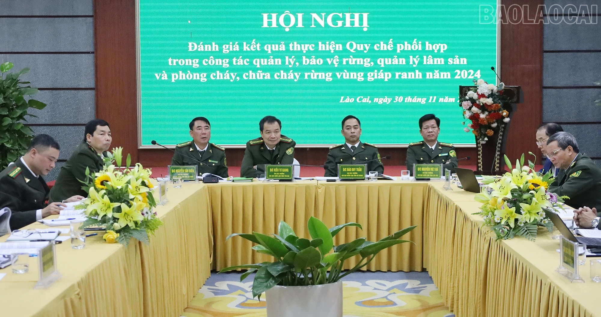 baolaocai-tr_5.jpg