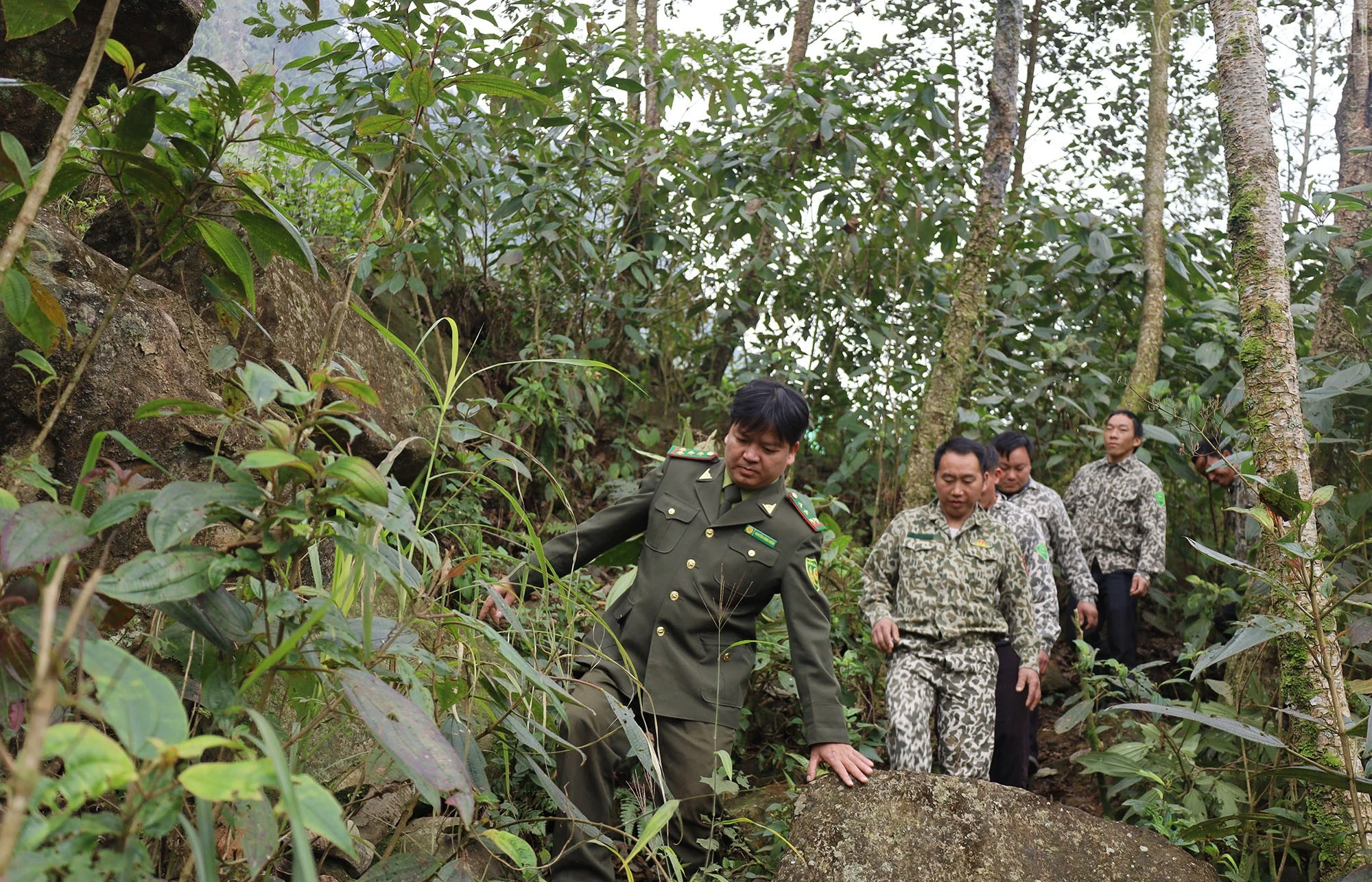 baolaocai-tr_img-7944.jpg