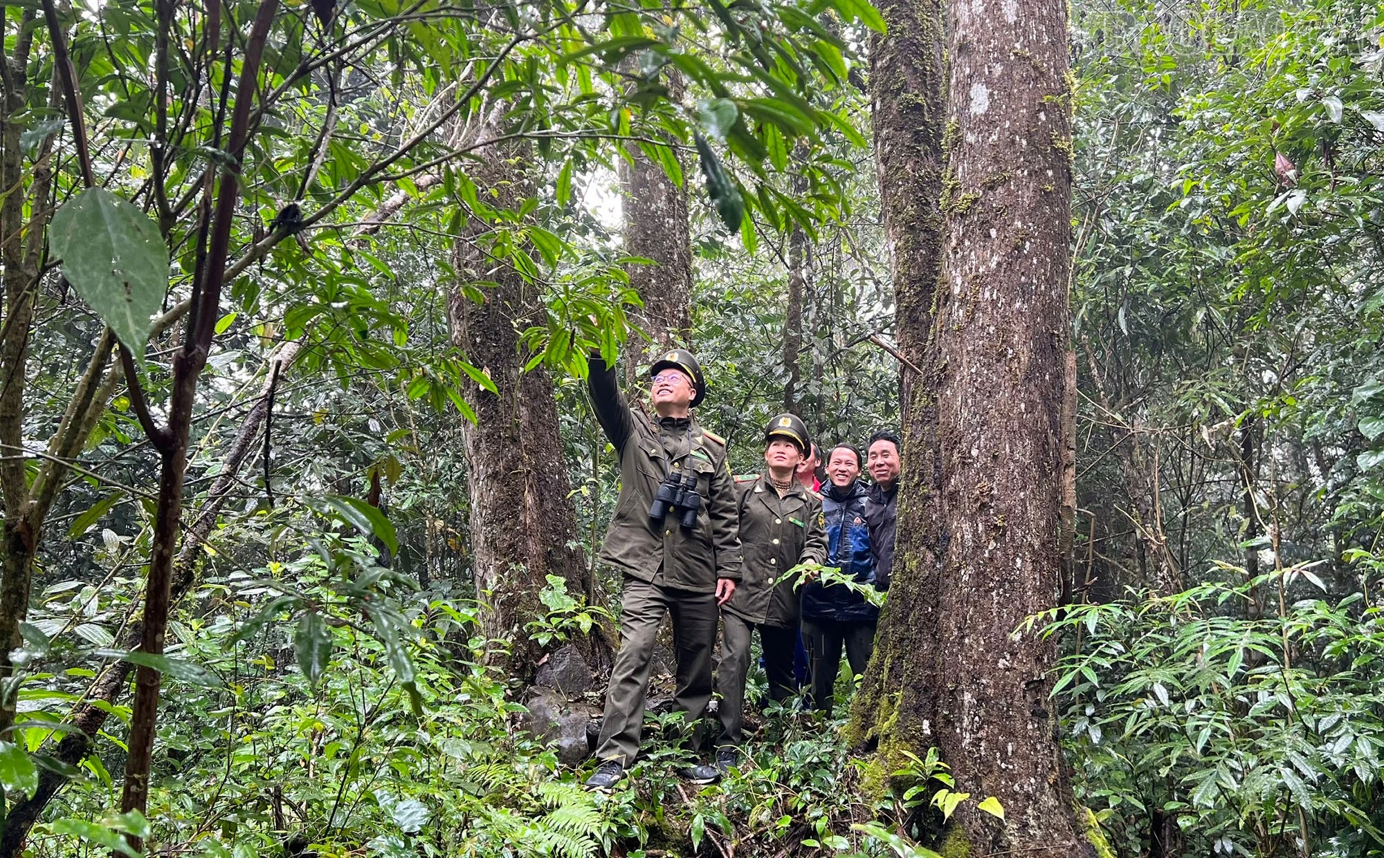 baolaocai-tr_z6268337477531-425d678c2435f62906f164b487a1c865.jpg