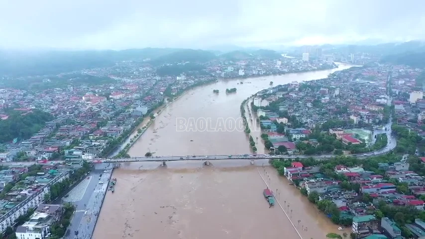 avatar-of-video-810304.png