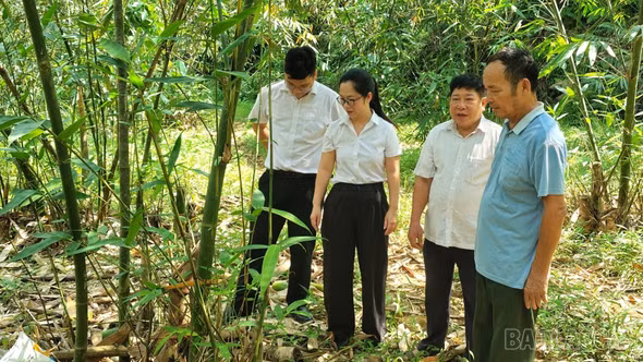 Lào Cai chủ động nguồn vốn, khơi thông tín dụng hỗ trợ doanh nghiệp cuối năm 2026
