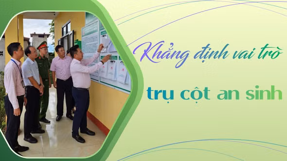 Khẳng định vai trò trụ cột an sinh