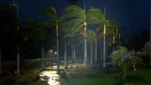 Cây cối bị gió mạnh thổi bay ở Bradenton, Florida, tối 9/10.
