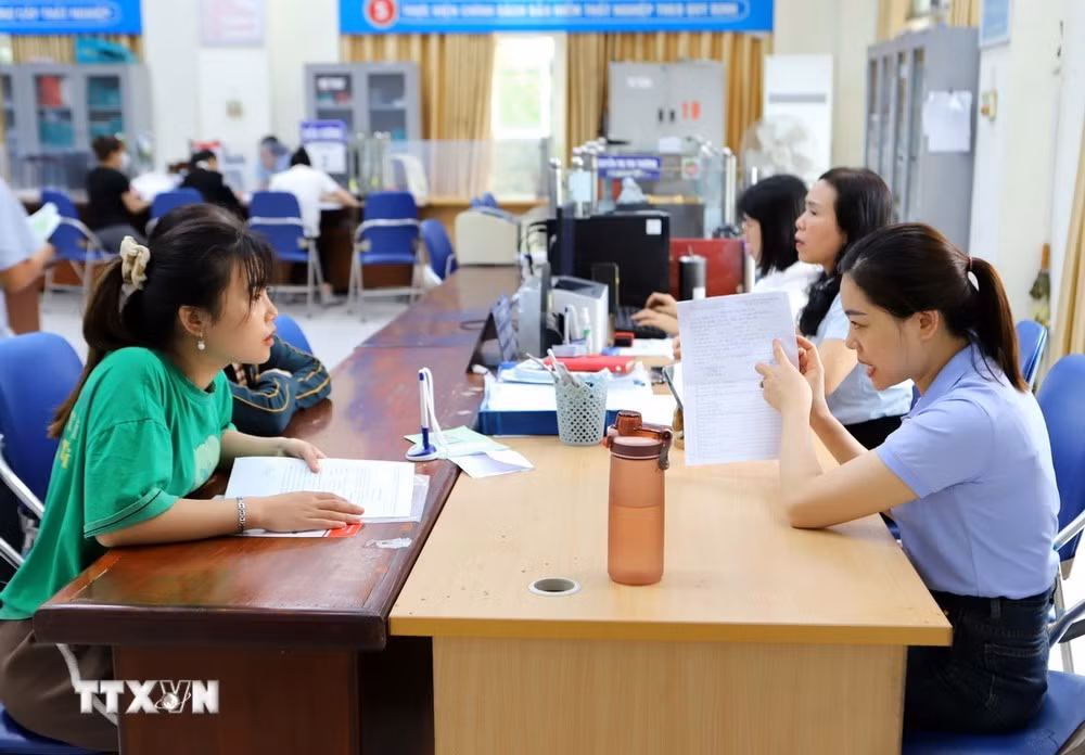 Tư vấn xuất khẩu lao động.
