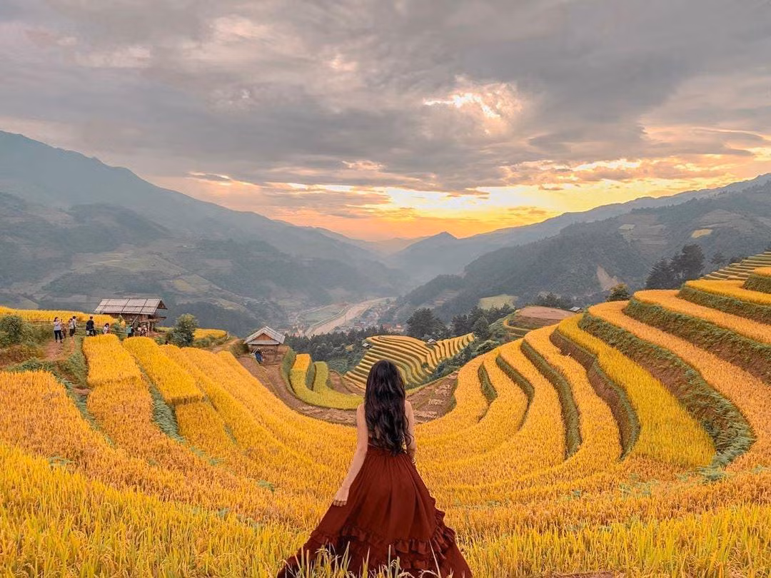 mu-cang-chai-mua-lua-chin-ivivu-4-368.jpg