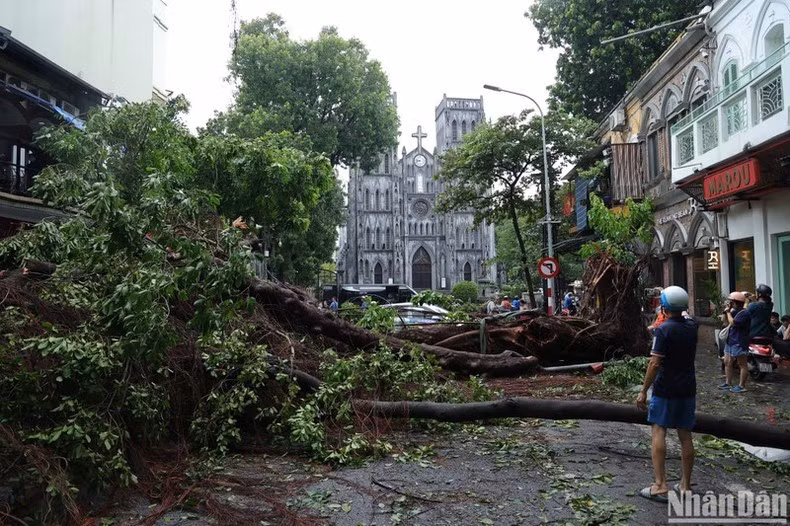 Việt Nam chịu ảnh hưởng nặng nề bởi siêu bão Yagi.