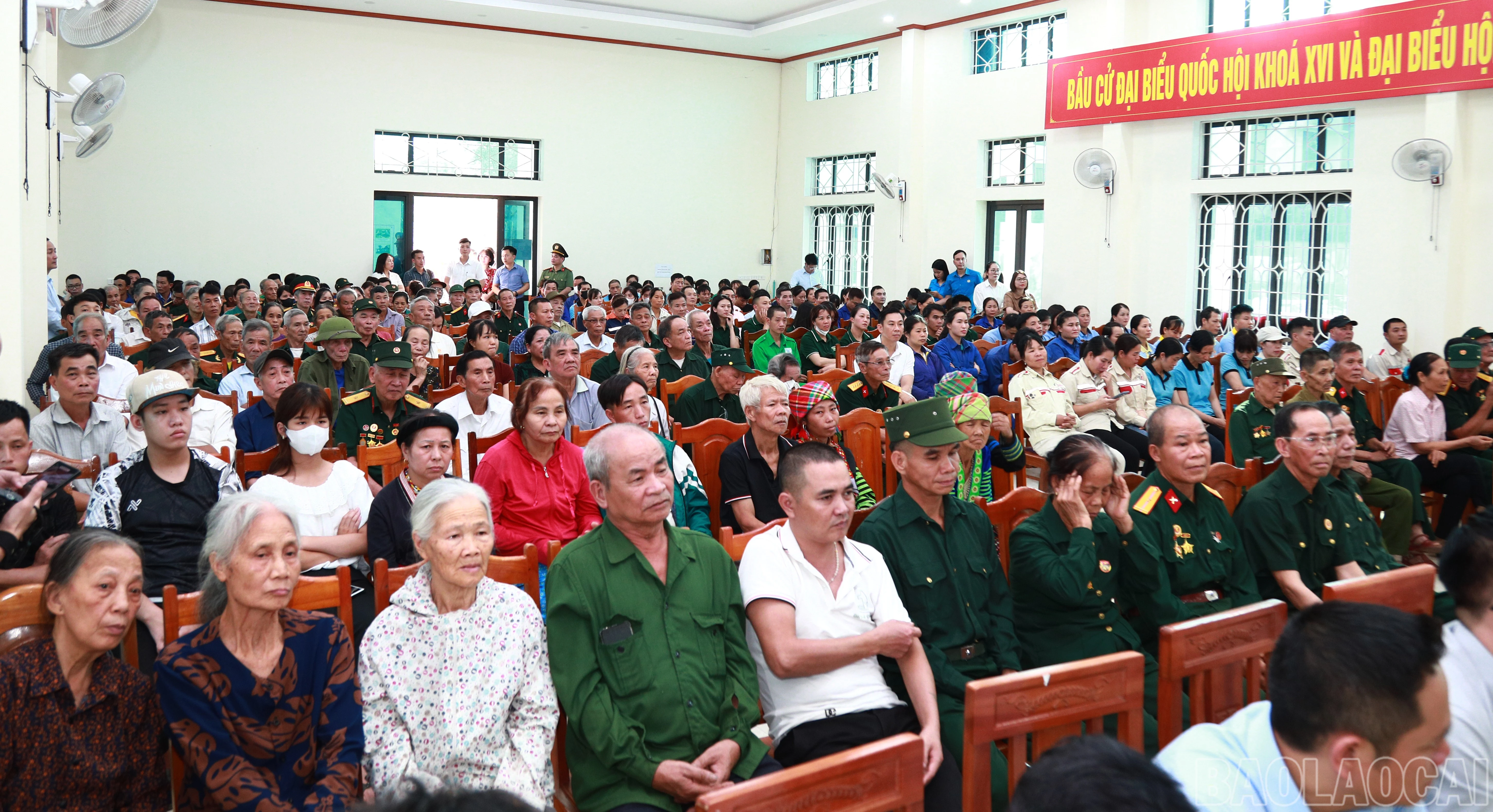 baolaocai-br_7j5a4533.jpg