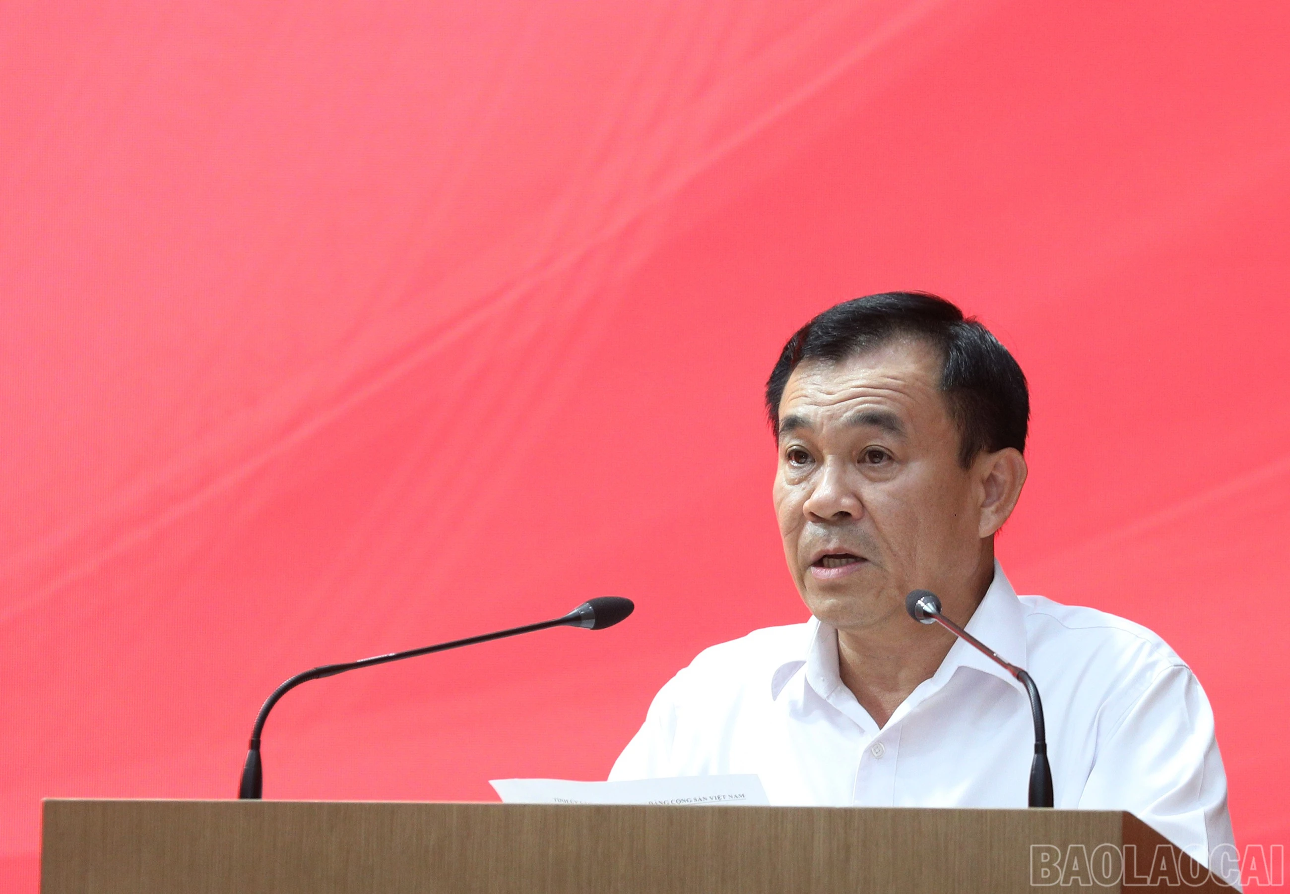 baolaocai-br_7j5a4399.jpg