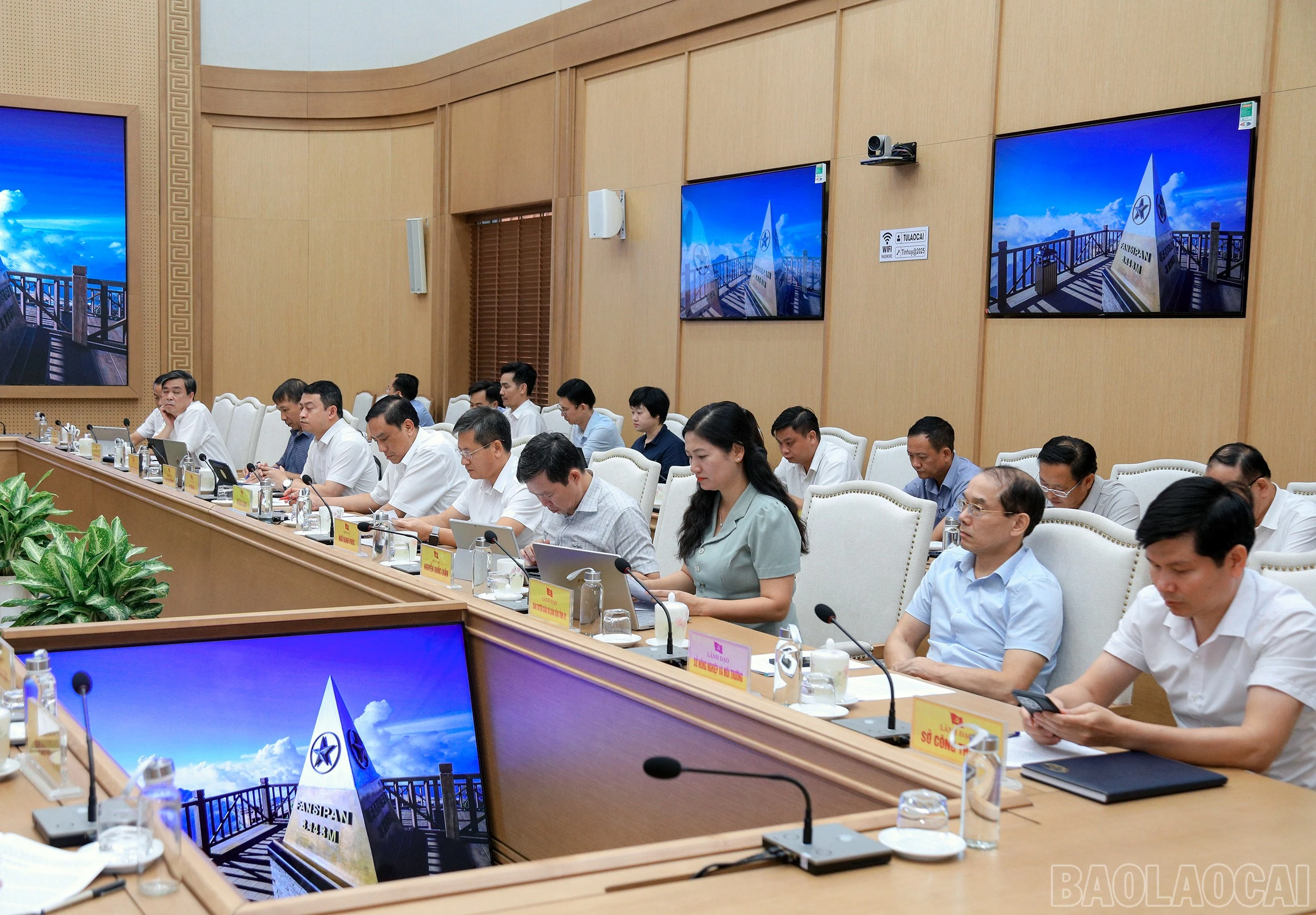 baolaocai-br_7j5a4553.jpg