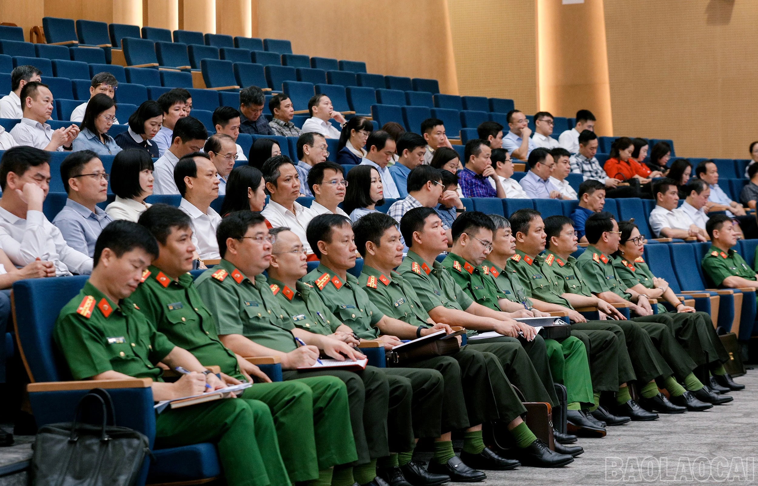 baolaocai-br_7j5a7455.jpg