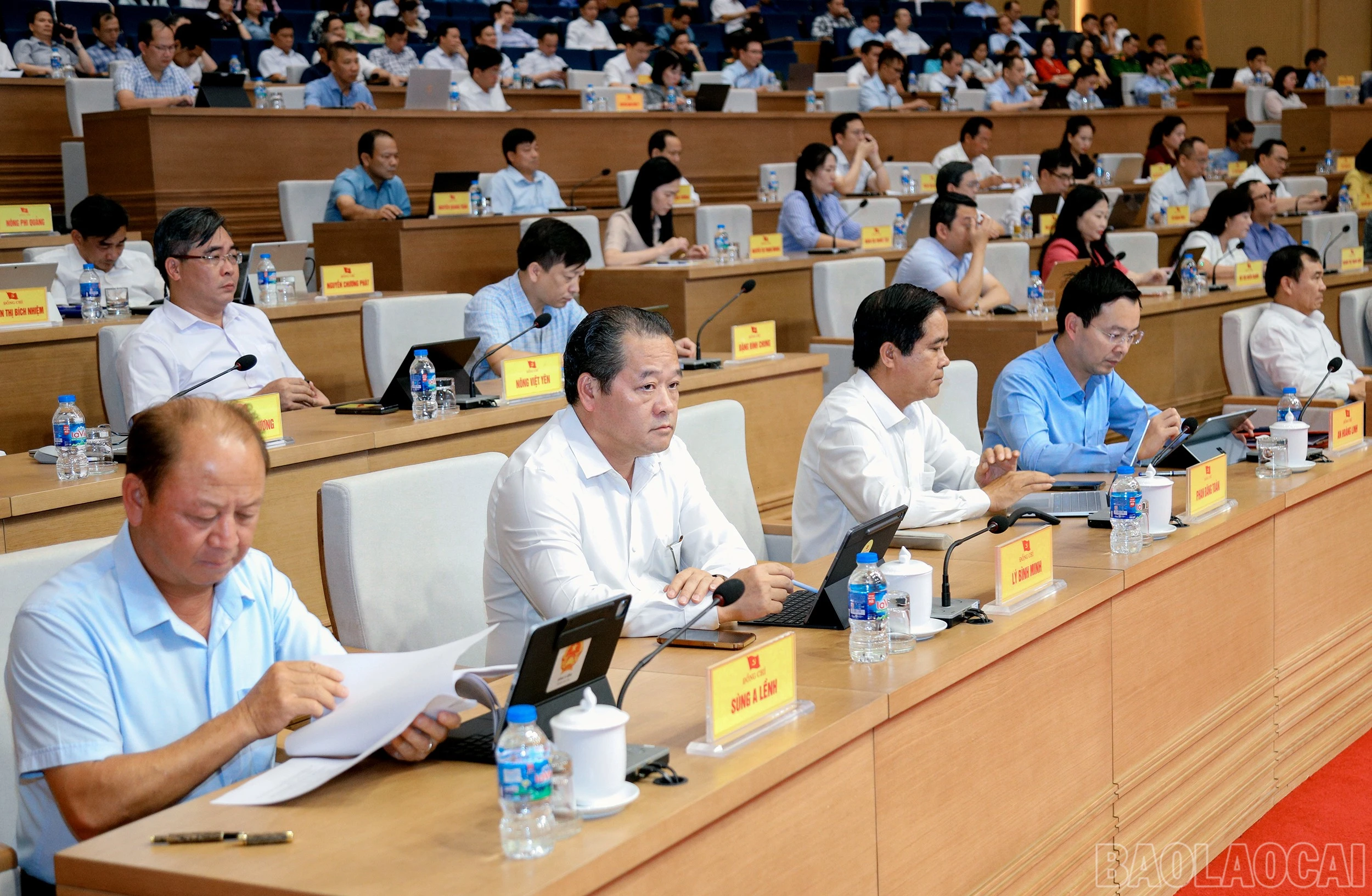 baolaocai-br_7j5a7511.jpg